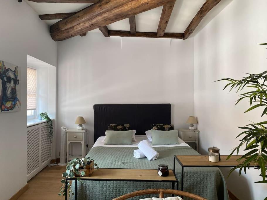 Appartamento Le Roseau - En Plein Coeur Historique Annecy Esterno foto